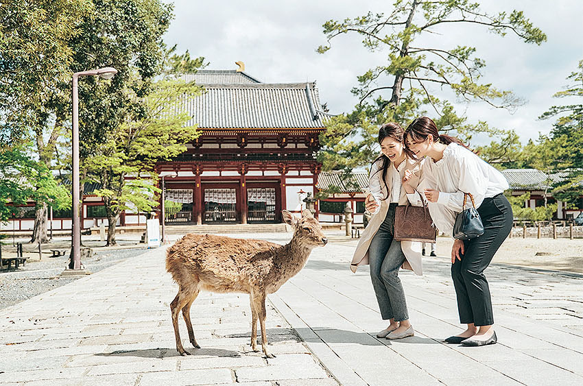 奈良を観光