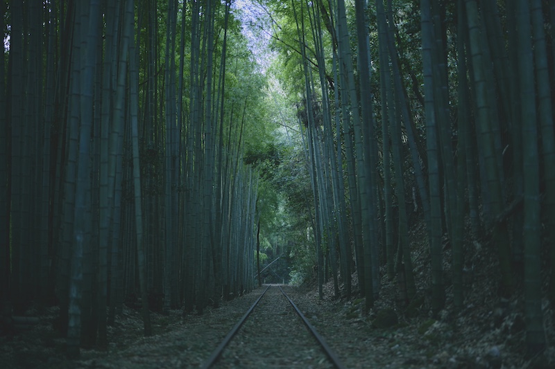 廃線跡トンネルウォーキング瞑想と大山池レイクサイドブランチ