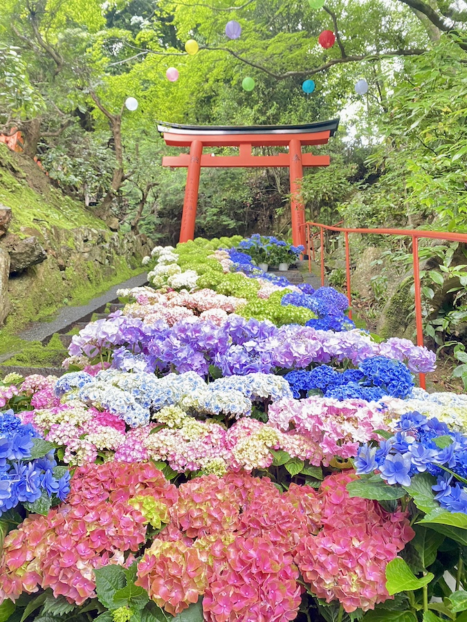 花階段